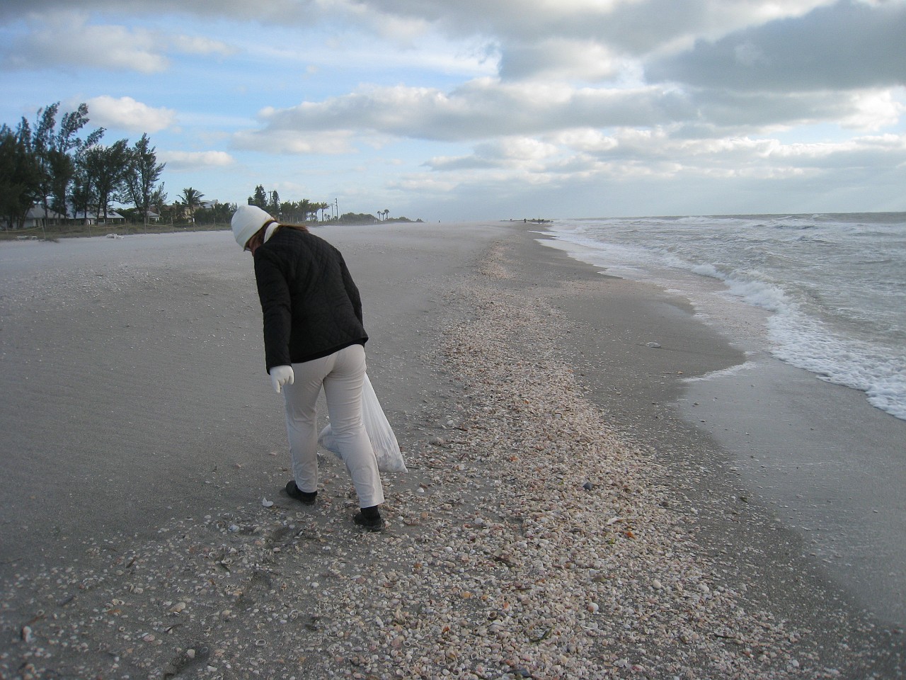 Vacation 2007-12 - Sanibel Island 0076.jpg - Our vacation for 2007-08 to Florida included a side trip to Sanibel Island. The main attraction here is "shelling", known as "The Sanibel Stoop" named for people bending over to pick up shells. It was a cold and blustery day at best!